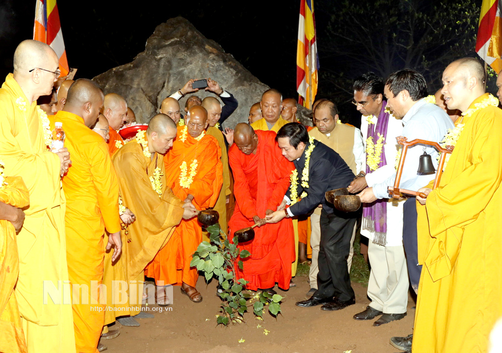 Sapling from worlds longestliving Bodhi tree planted in Bai Dinh pagoda