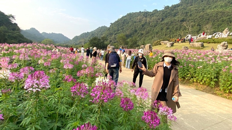 Thung Nham tourist area Ninh Binh attracted numerous visitors in March 2023. (Photo: nhandan.vn)