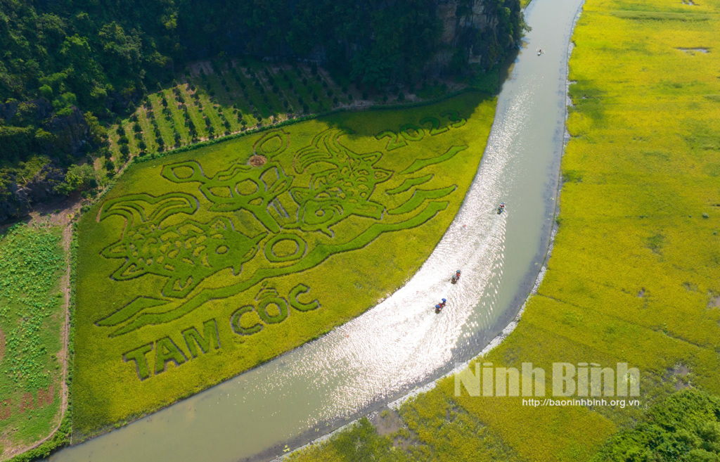 Preparation for Ninh Binh Tourism Week 2023 underway