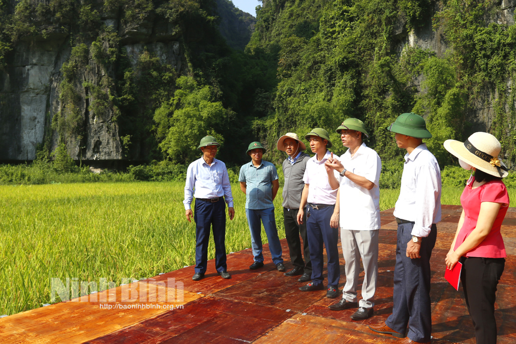 Leaders of Hoa Lu district and Tam Coc-Bich Dong management board inspect preparation work for the Ninh Binh Tourism Week 2023.