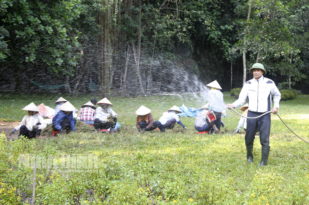 Preparation for Ninh Binh Tourism Week 2023 underway