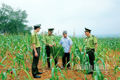 Lãnh đạo Chi cục Kiểm lâm tỉnh thăm mô hình nông, lâm kết hợp của ông Đoàn Công Thắng, xã Gia Hòa (Gia Viễn). Ảnh: Anh Tuấn