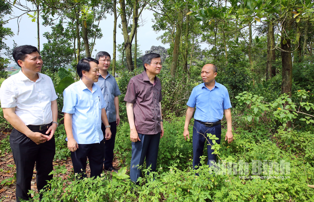 Secretary of provincial Party Committee visits Bo Bat pottery village