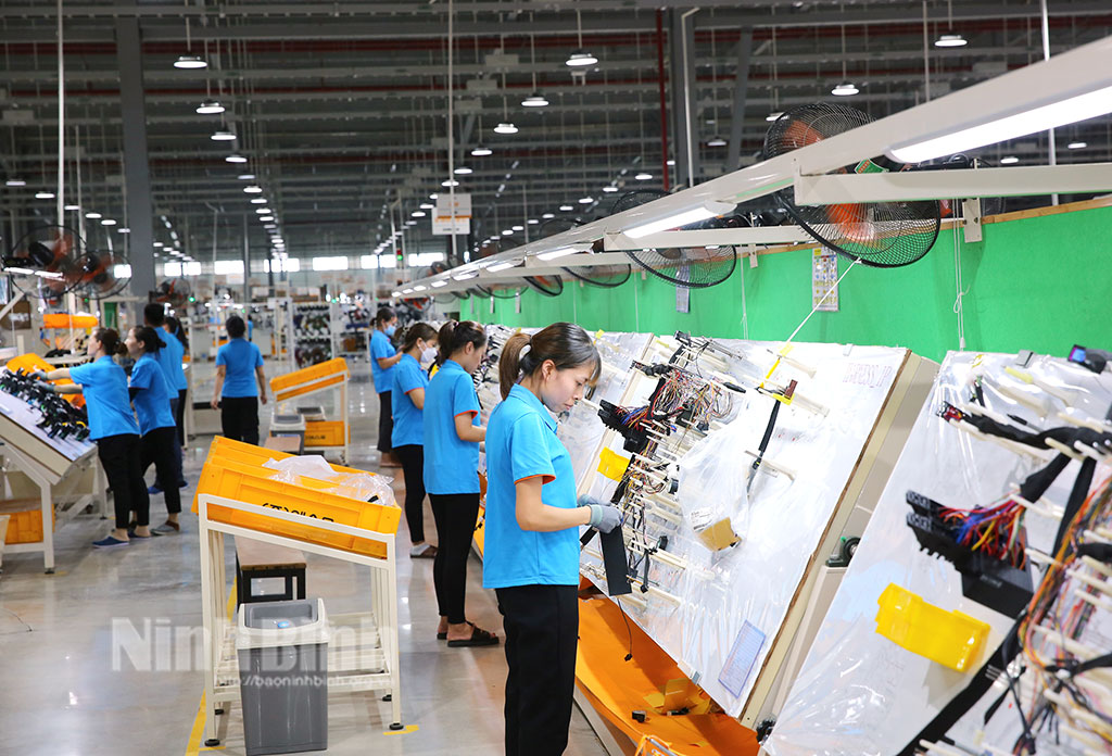 Production line in Esmo Vina limited company in Gia Phu industrial clusters, in Gia Vien district.