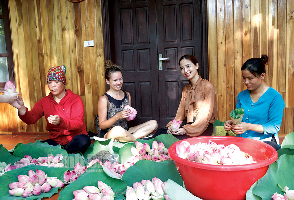 Planting lotus have helped farmers in Hoa Lu district earn much money.