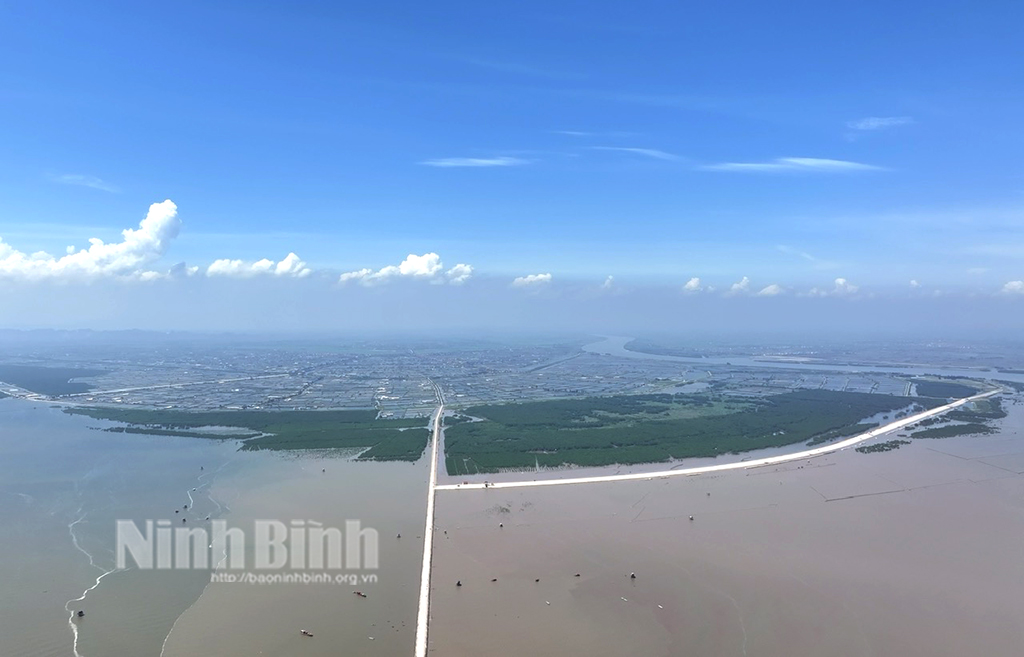 Aerial overview of Binh Minh 4 dyke.