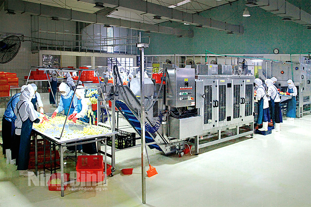 Production line of Dong Giao foodstuff JSC.